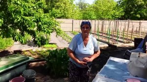С утра пораньше всё обработала ,бой муравьям и улиткам , покосила...