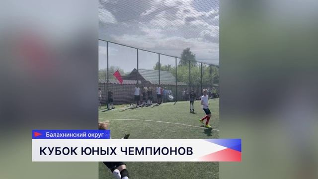 Семь команд боролись за звание лучших на турнире «Кубок Юных Чемпионов»