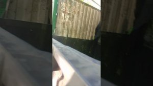 1000009750.mp4