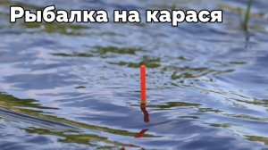 Ловля карася! Поклевки от которых замирает сердце!