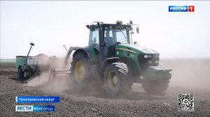 В Прохоровском округе высаживают картофель