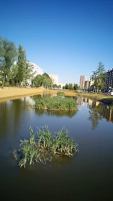 VID_20260522_160638 смотреть онлайн