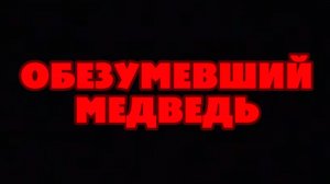 RVA: obezumevshiy_medved_2016.mp4 (12.12.2016)