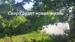 скоро новое выживание.