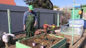 « Во саду ли, в огороде» ( Выпуск от 22.05.2026)