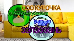 Оо курочка (не хотел никого обидеть и зелёнку тоже не хотел это шуточное видео)
