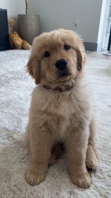 So Cute