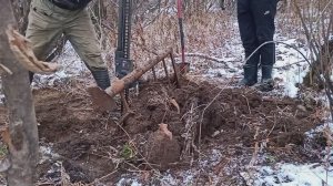 Копаем металл в борщевике_Выпал первый снег_Все грязные... #КопМеталлавлесу #металлокоп