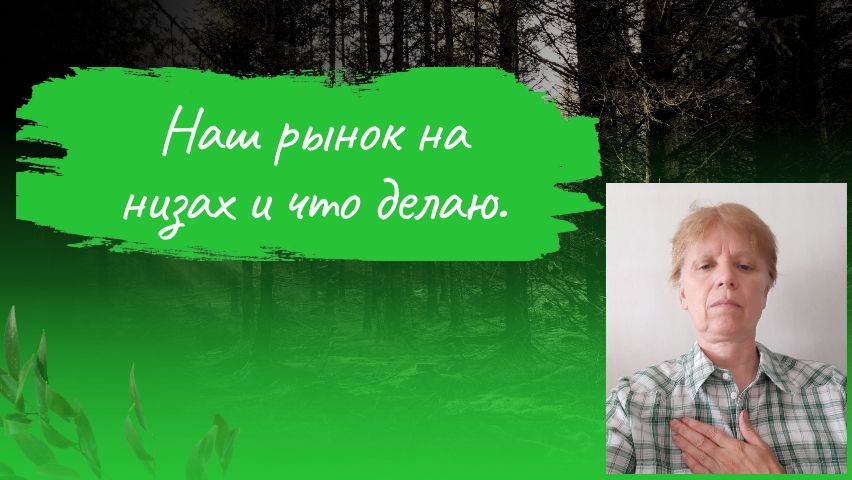 Движущей силы для российского рынка нет.