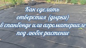 Как сделать отверстия (дырки) в спанбонде или агроматериале под любое растение