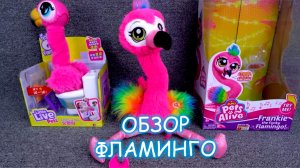 Обзор и распоковка игрушки Фламинго 🚨🪄😽Распаковка игрушек для детей