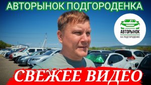 ЦЕНЫ СВЕЖЕЕ ВИДЕО АВТОРЫНОК ПОДГОРОДЕНКА