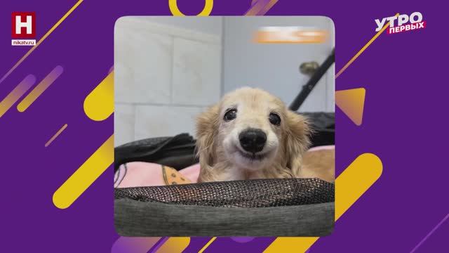 Лучшие видео | В ТРЕНДЕ