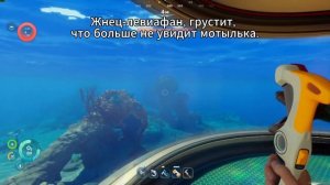 Грустнец