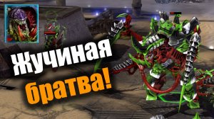Много карнифексов и терминаторы с когтями...: Dawn of War 2: Elite Mod