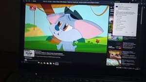 mouse cry pisi has bsod (windows 11 version)