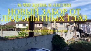 Новый забор от любопытных глаз. № 950 Жизнь в Англии