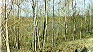 Экзамен дирижирование Н.Фомина, Н.Лебедева, И.Суворова, А.Торопова, В.Кравцова, И.Чуркина 30.05.1996