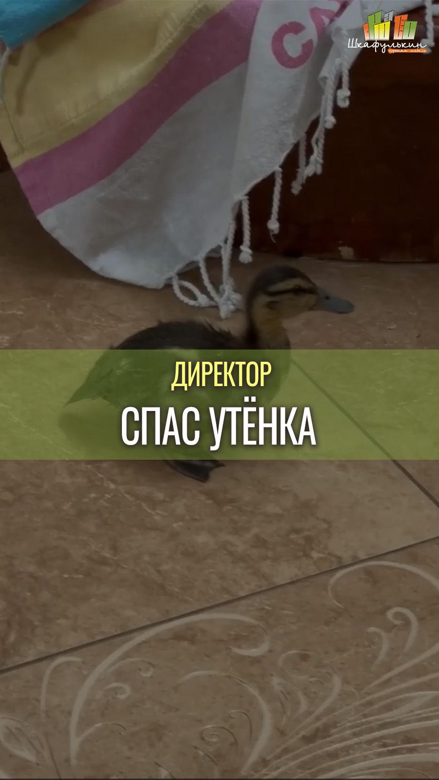 К природе бережно ❤
