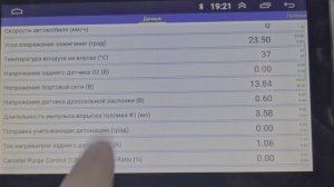 EJ152 троит при нажатии на газ