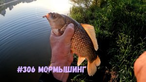 #306 Мормышинг Обзор за 22 мая 2026
