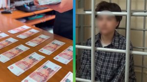 Пенсионеры в Подмосковье помогли задержать курьеров мошенников
