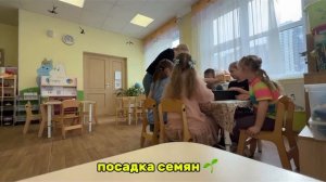 Проект «Весна на подоконнике» в группе «Муми-Тролли» ( Май 2026)