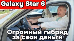 Galaxy StarShine 6 - огромный гибрид для своих ден