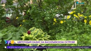 Цветочный оазис на Васильевском острове