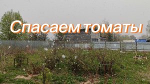 Зачем я это сделала?) Снег идёт, мороз)