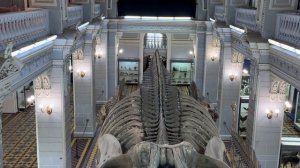 Зоологический музей в Санкт-Петербурге 2 - этаж 2026г