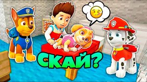 Что Случилось С Скай Щенячий Патруль в Майнкрафт Мультик