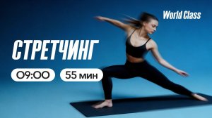СТРЕТЧИНГ с Еленой Румянцевой | 22 мая 2026 | Онлайн-тренировки World Class
