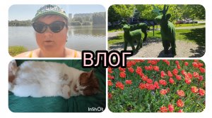 ПОПЛАВАЛА В МАЕ!/ТАРЕЛОЧКИ/КОТИК/ПРОГУЛКА