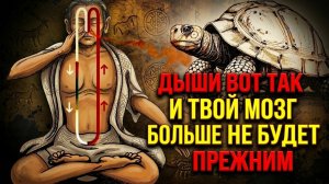 05. Один вдох меняет всё. Монахи знали это тысячи лет | За Гранью Кода