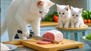 Мама-кошка упала во время сбора арбуза, котята отвезли ее в больницу и приготовили для нее еду