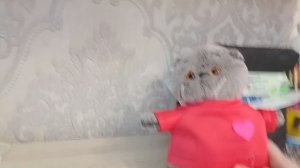 Влог с басиком утро