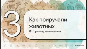 ДИКИЕ И ДОМАШНИЕ ЖИВОТНЫЕ 2 класс окружающий мир Плешаков