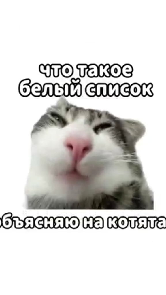 что такое белый список? смотреть онлайн
