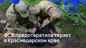 ФСБ предотвратила теракт в Краснодарском крае