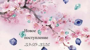 Новое поступление 23-05-2026