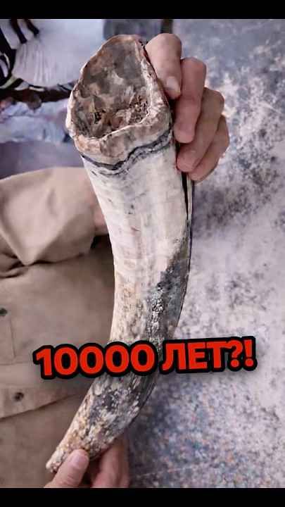 10000 ЛЕТ! ЭТО ВООБЩЕ МОЖНО ПРОДАТЬ