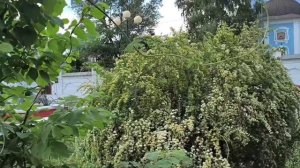 Променад вокруг монастыря 22.05.26.