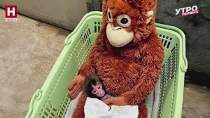 Животные — знаменитости | ЗООМАНИЯ