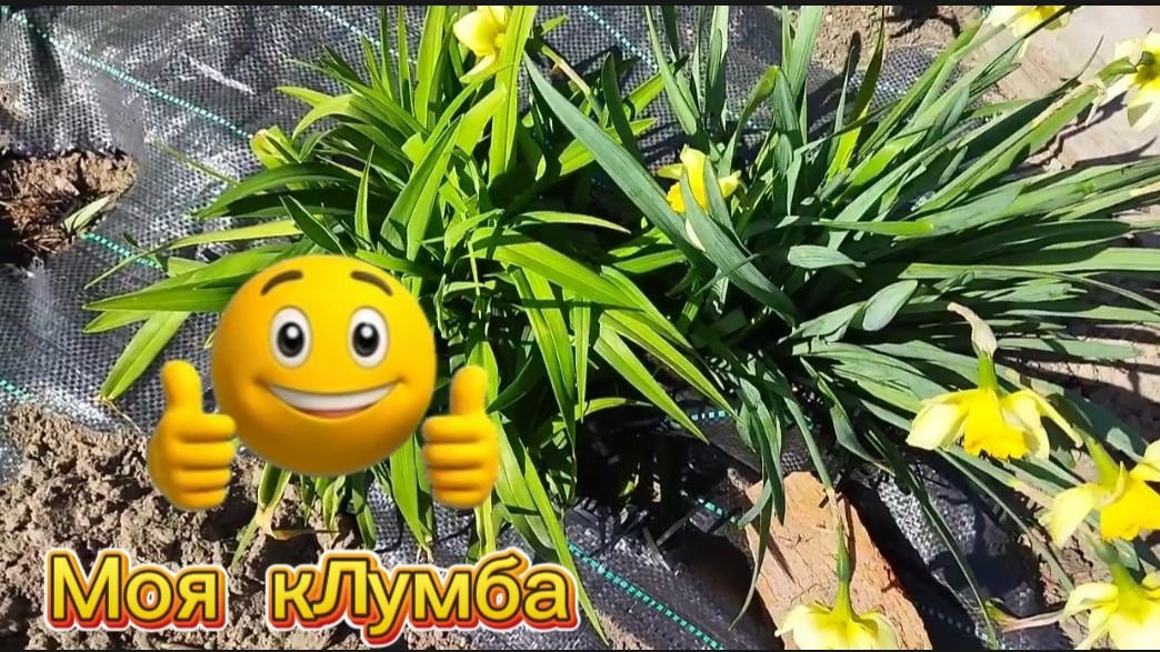 Моя работа с клумбой продолжается смотреть онлайн