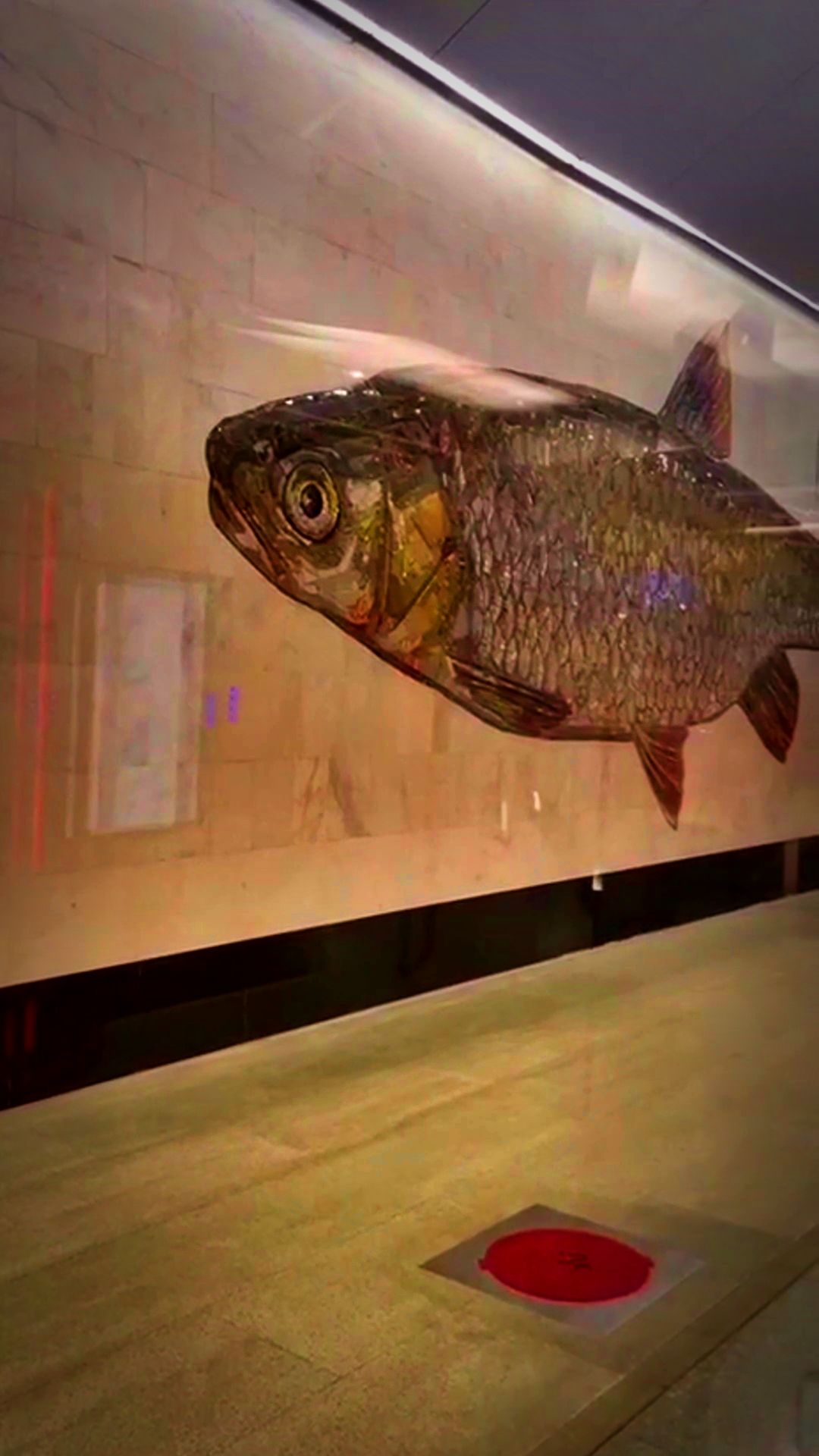 ПОДЗЕМНЫЕ РЫБКИ🐟 смотреть онлайн