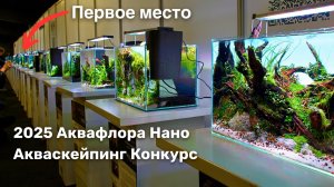 29 УДИВИТЕЛЬНЫХ НАНО-АКВАСКЕЙПОВ! Конкурс акваскейпинга Aquaflora Nano 2025