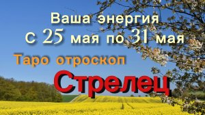 СТРЕЛЕЦ ваша энергия !💕с 25  по 31 мая ‼️ #гадание #таро #раскладтаро