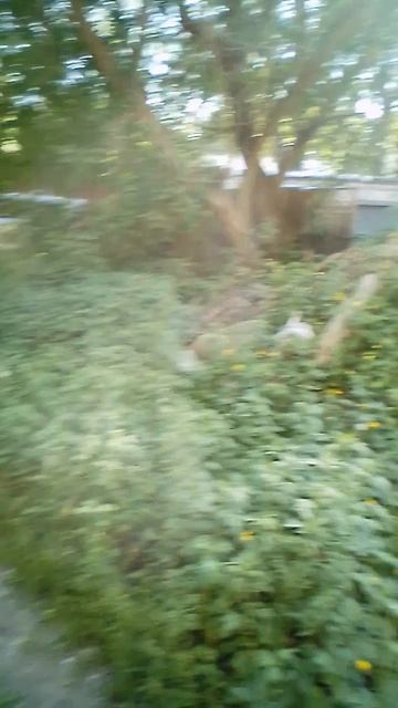 VID_20260522_153416 смотреть онлайн