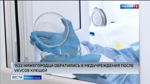 Свыше полутора тысяч нижегородцев обратились в медучреждения после укусов клещей
